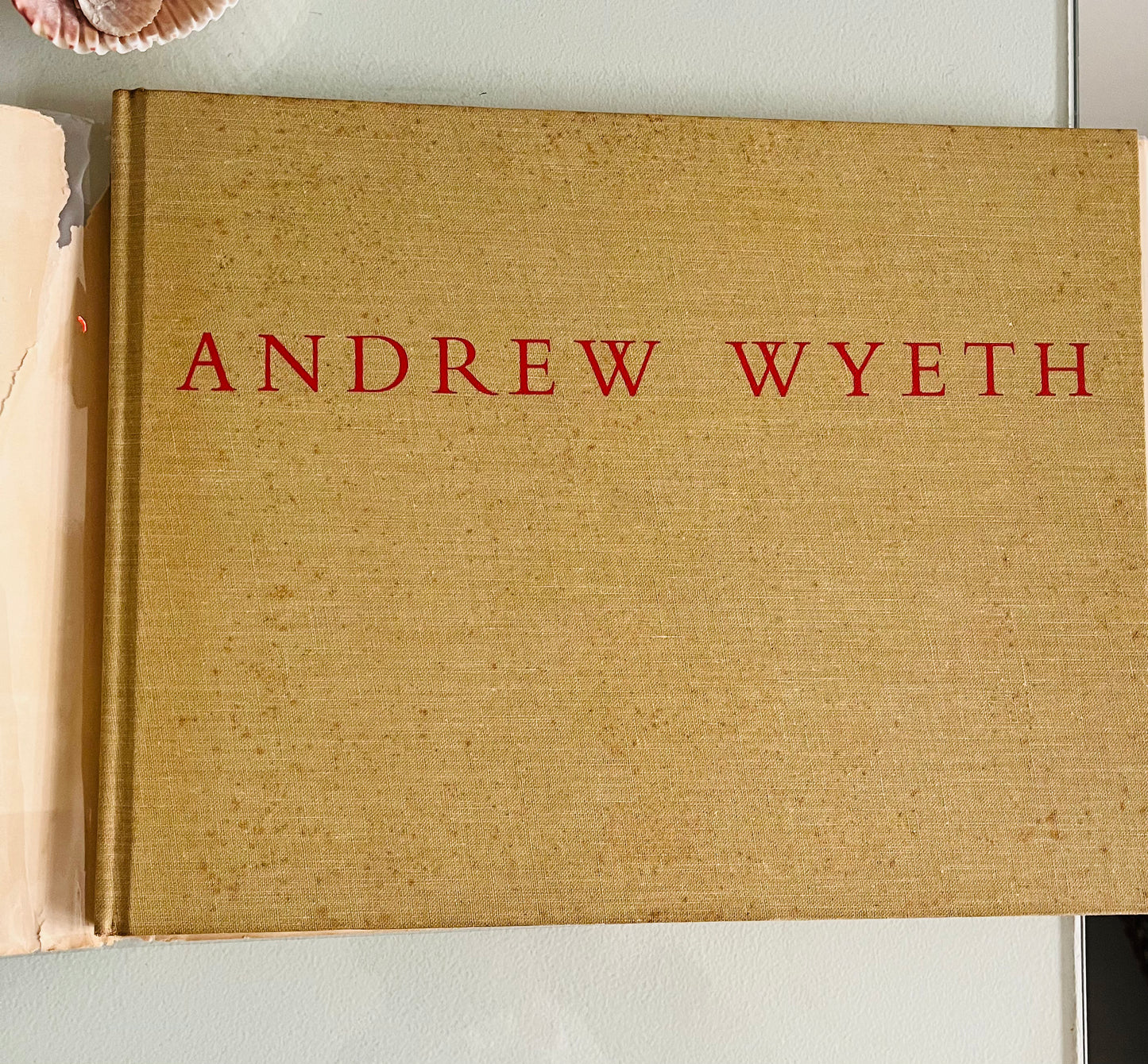 Andrew Wyeth: Dry Brush and Pencil Drawings