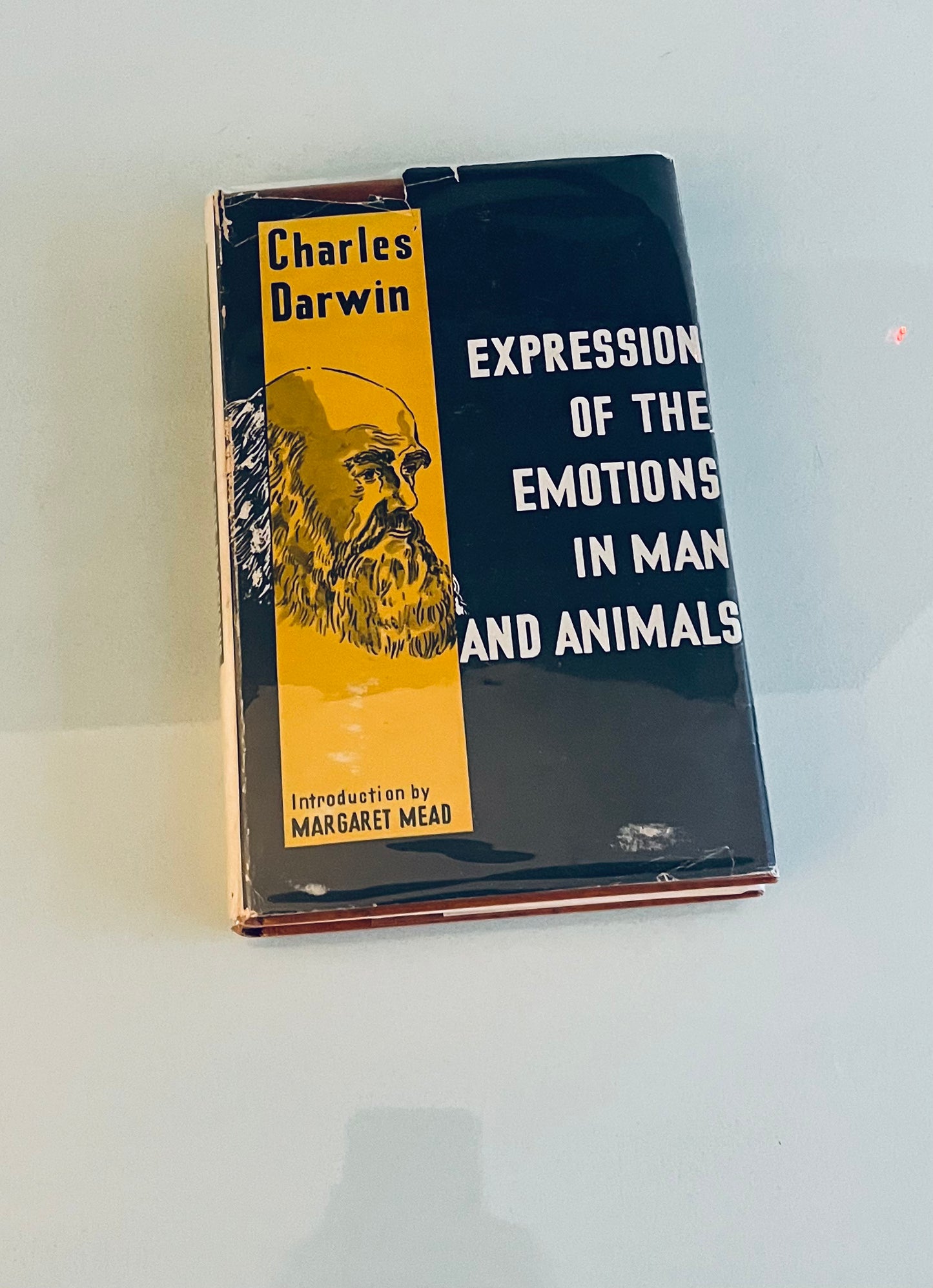 Expression of the Emotions in Man and Animals