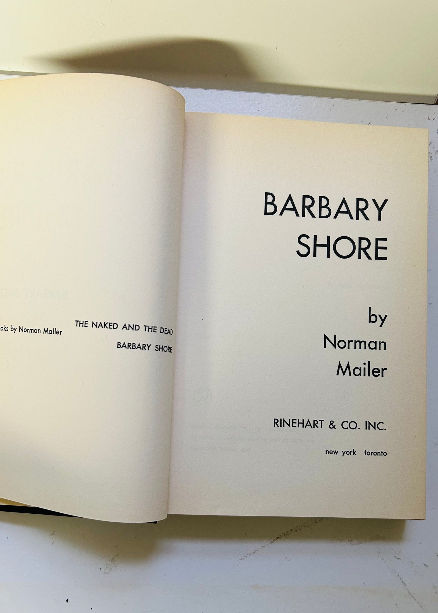 Barbary Shore