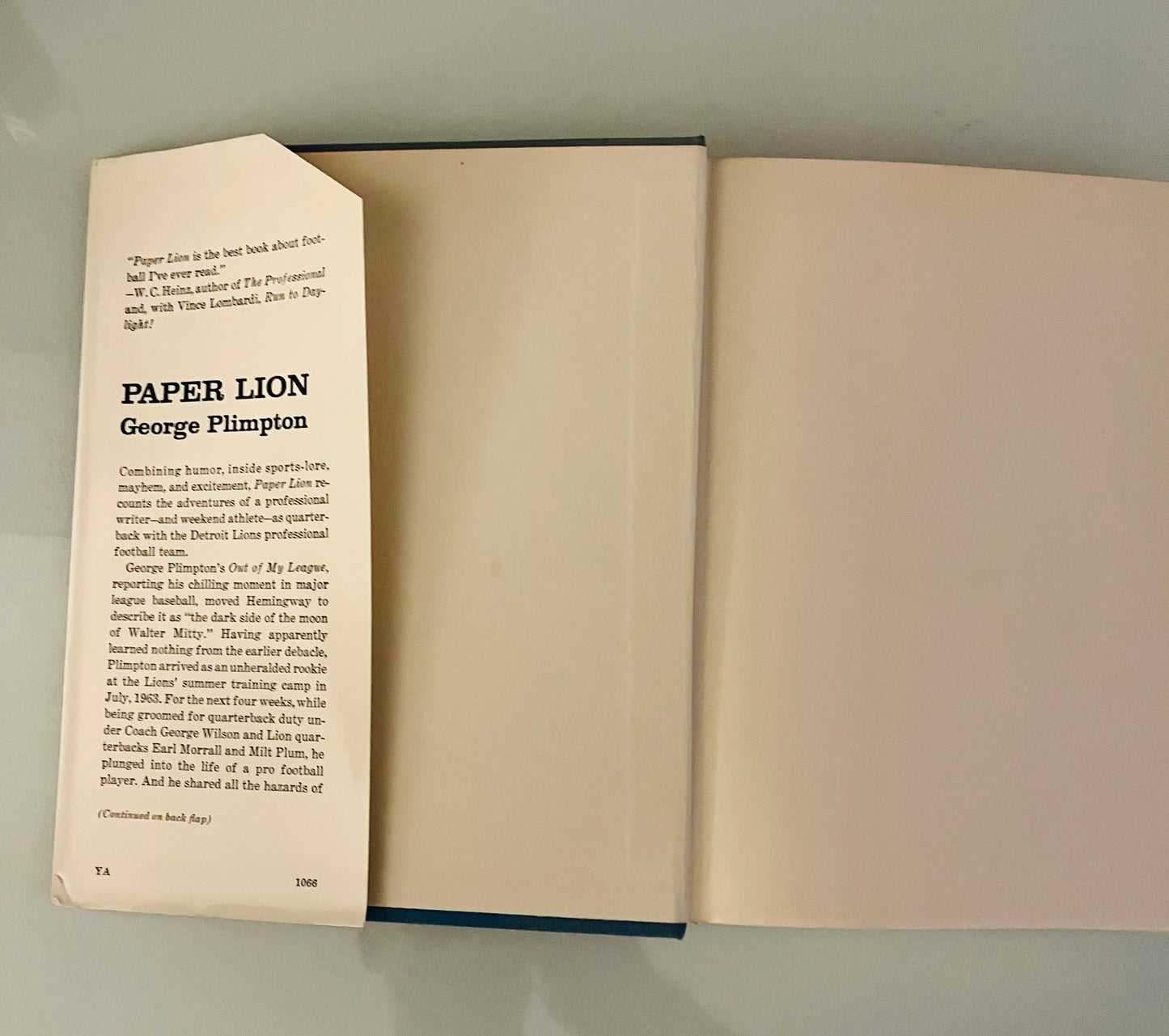 Paper Lion