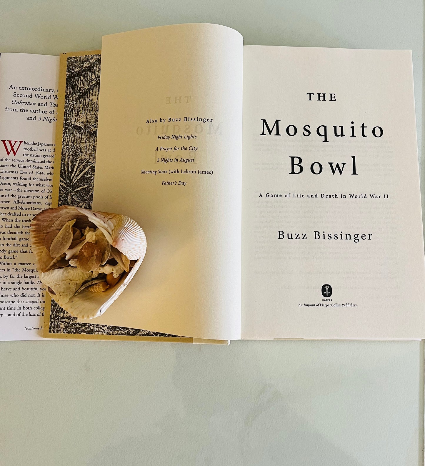 The Mosquito Bowl