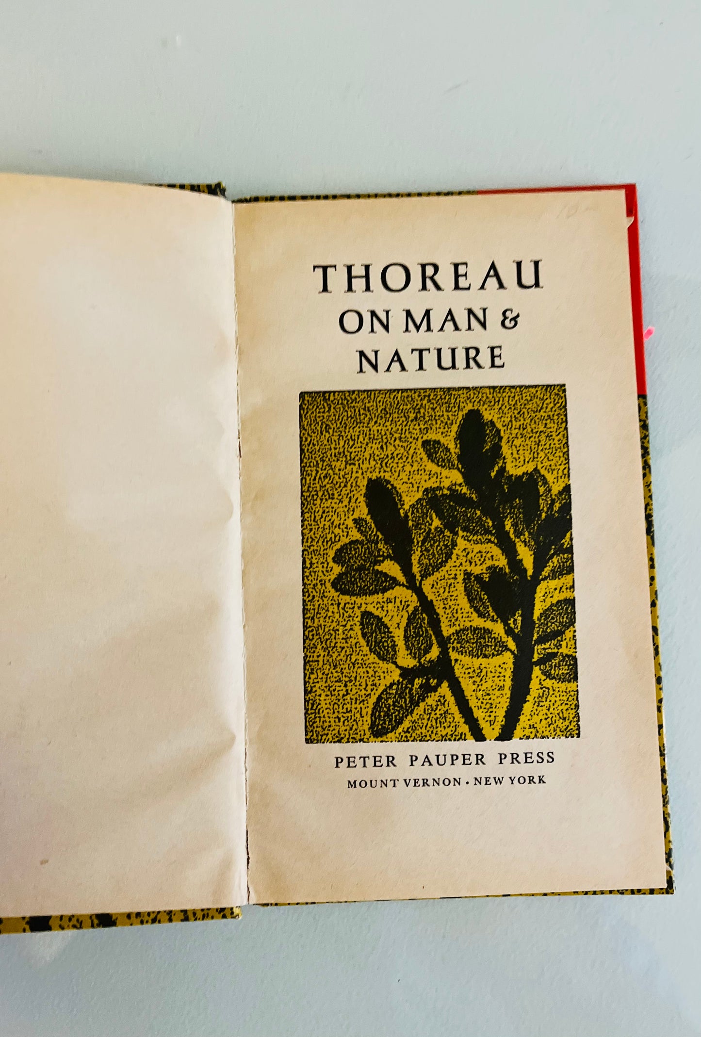 Thoreau On Man and Nature