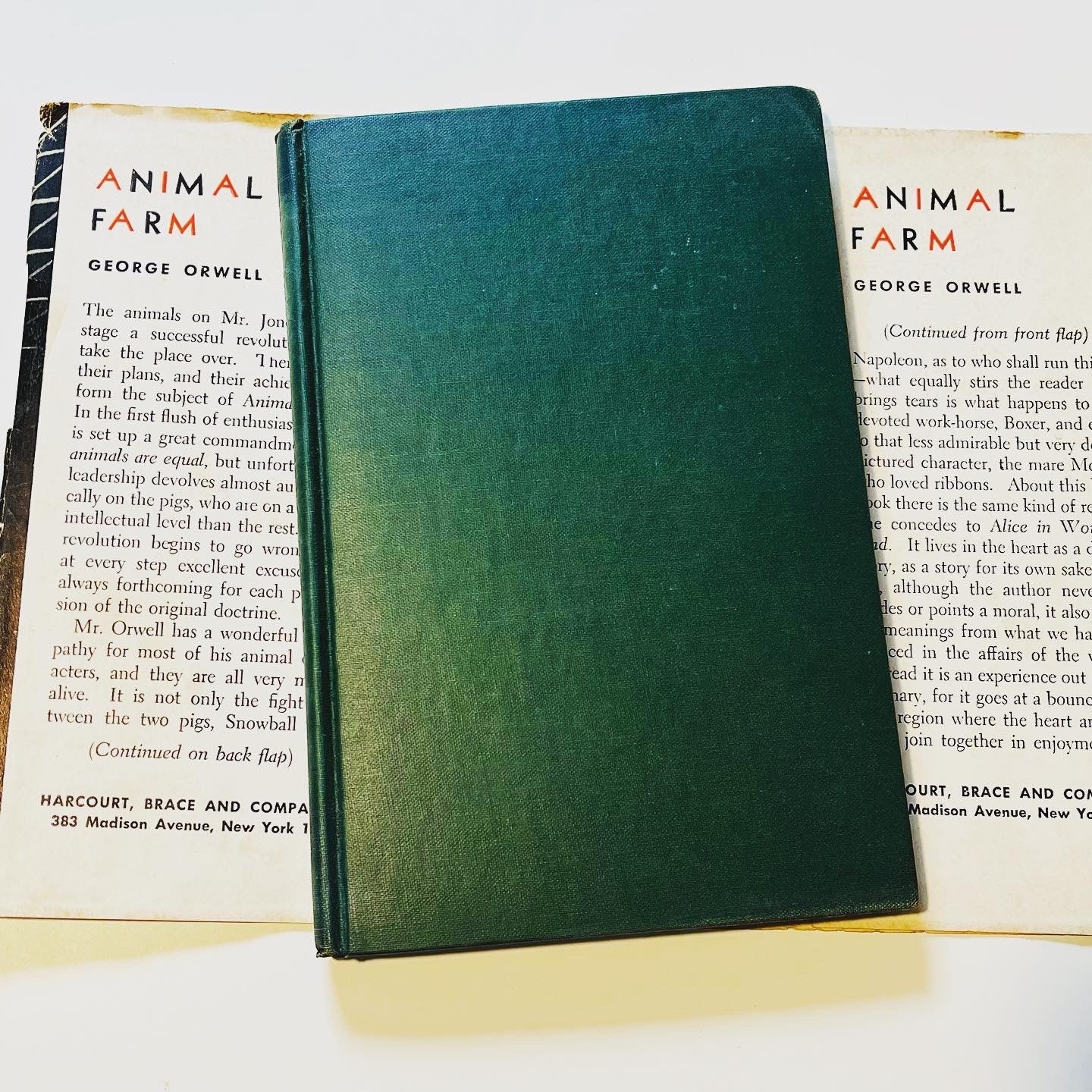 Animal Farm - Burning Tree Books
