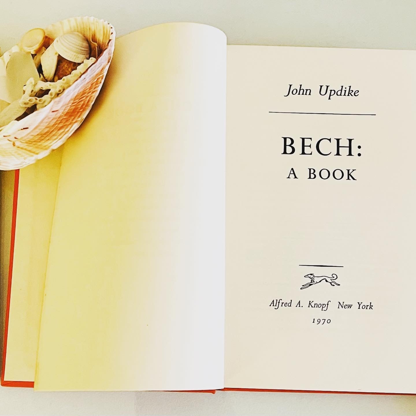 Bech: A Book - Burning Tree Books