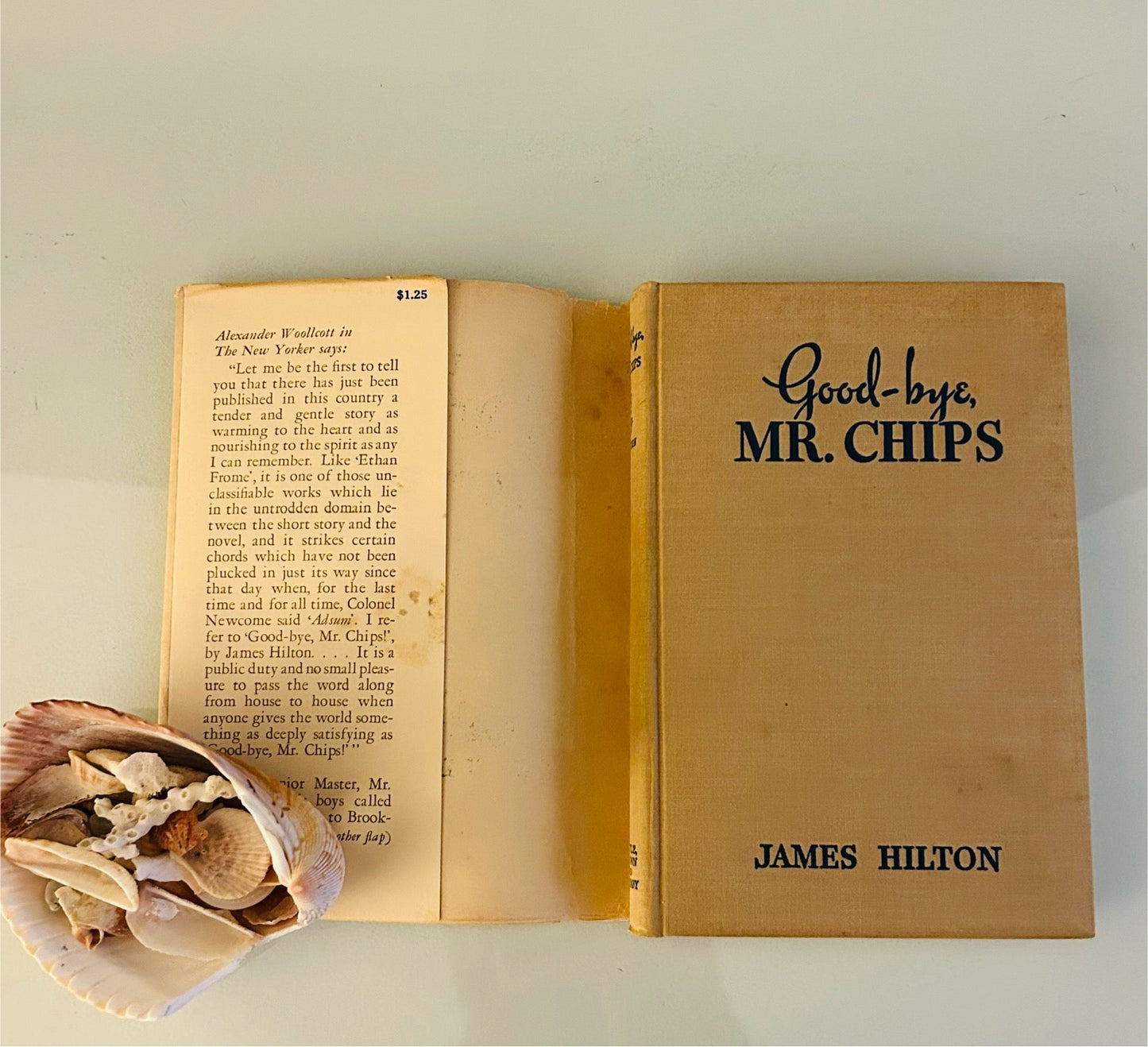 Good - Bye Mr. Chips - Burning Tree Books