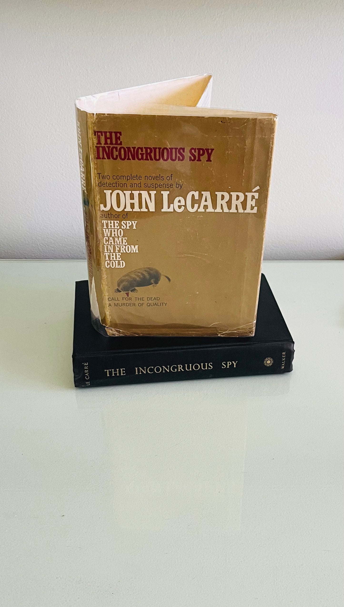 The Incongruous Spy