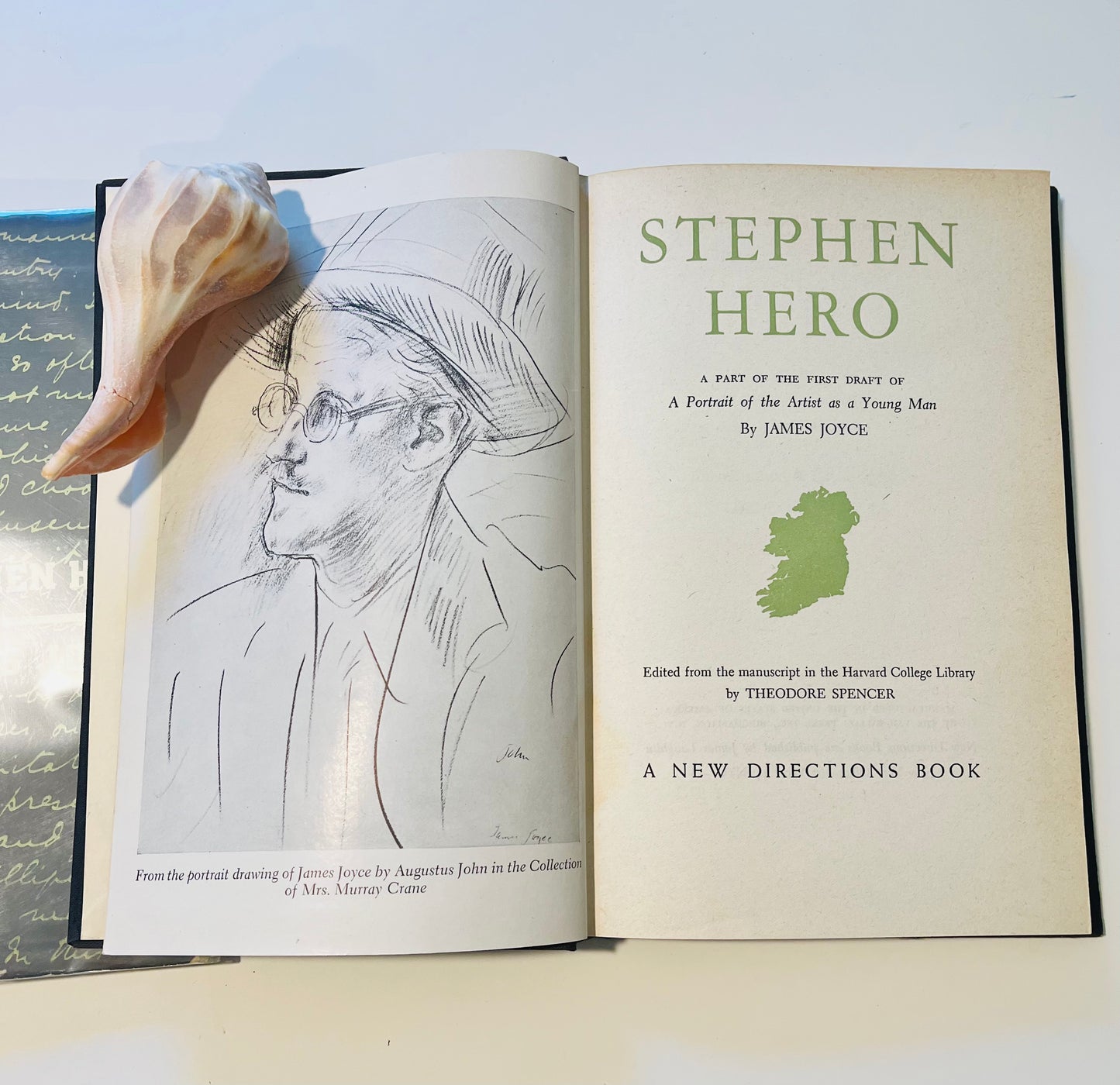 Stephen Hero