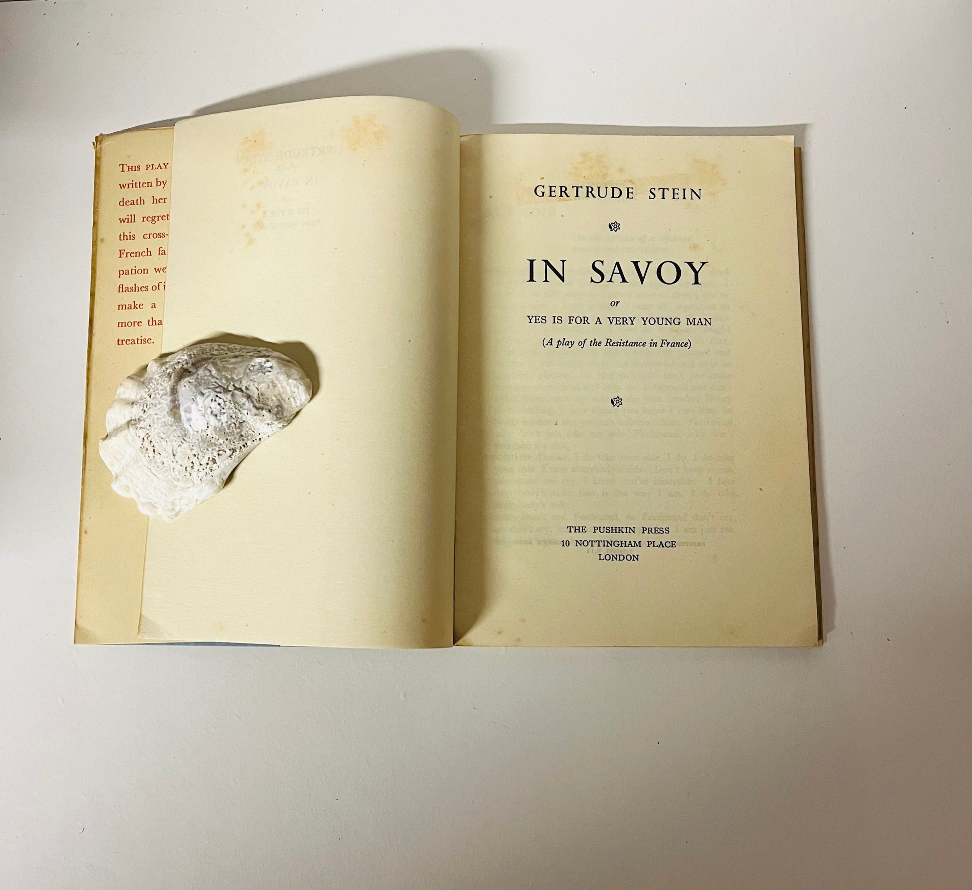 In Savoy - Burning Tree Books