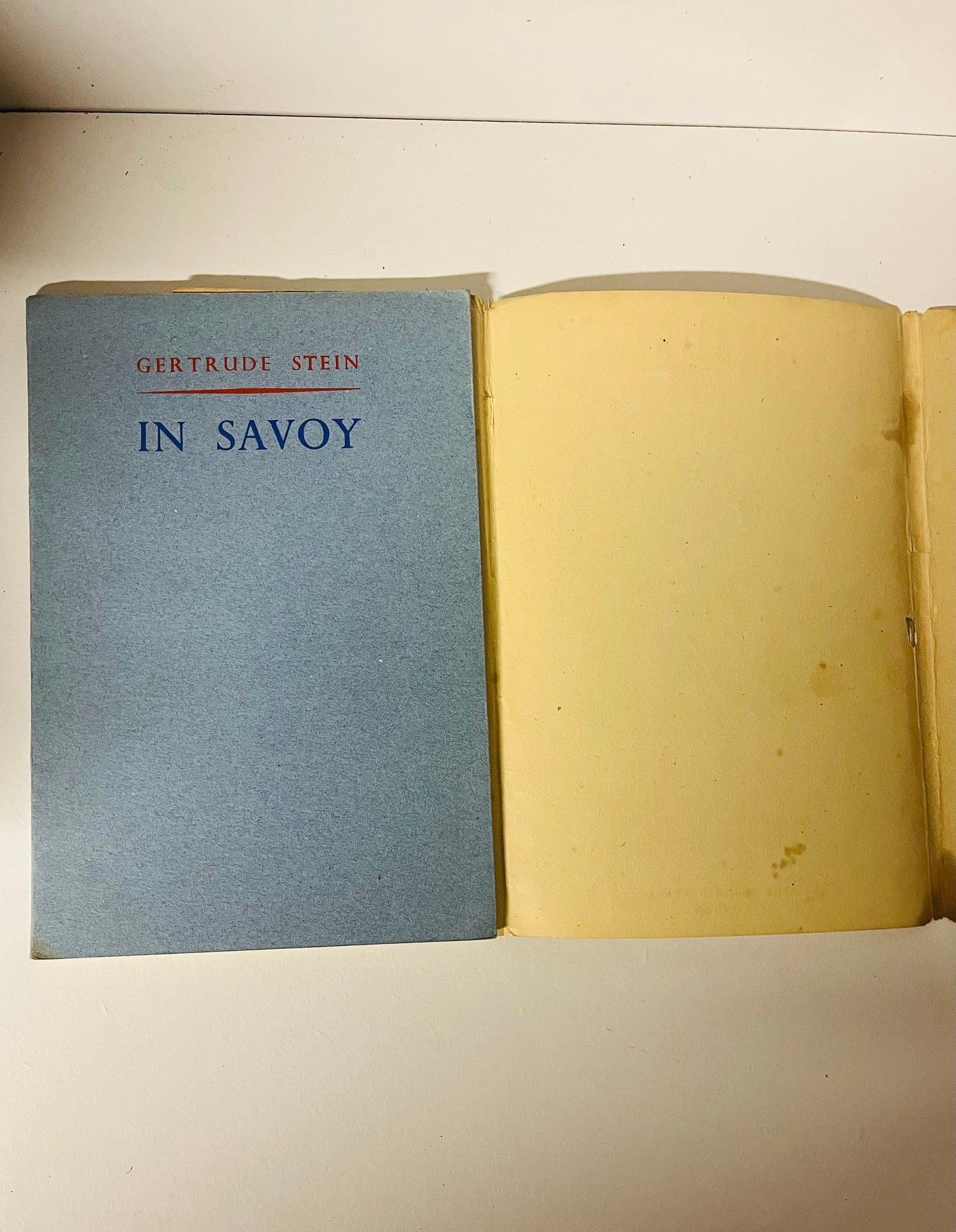 In Savoy - Burning Tree Books