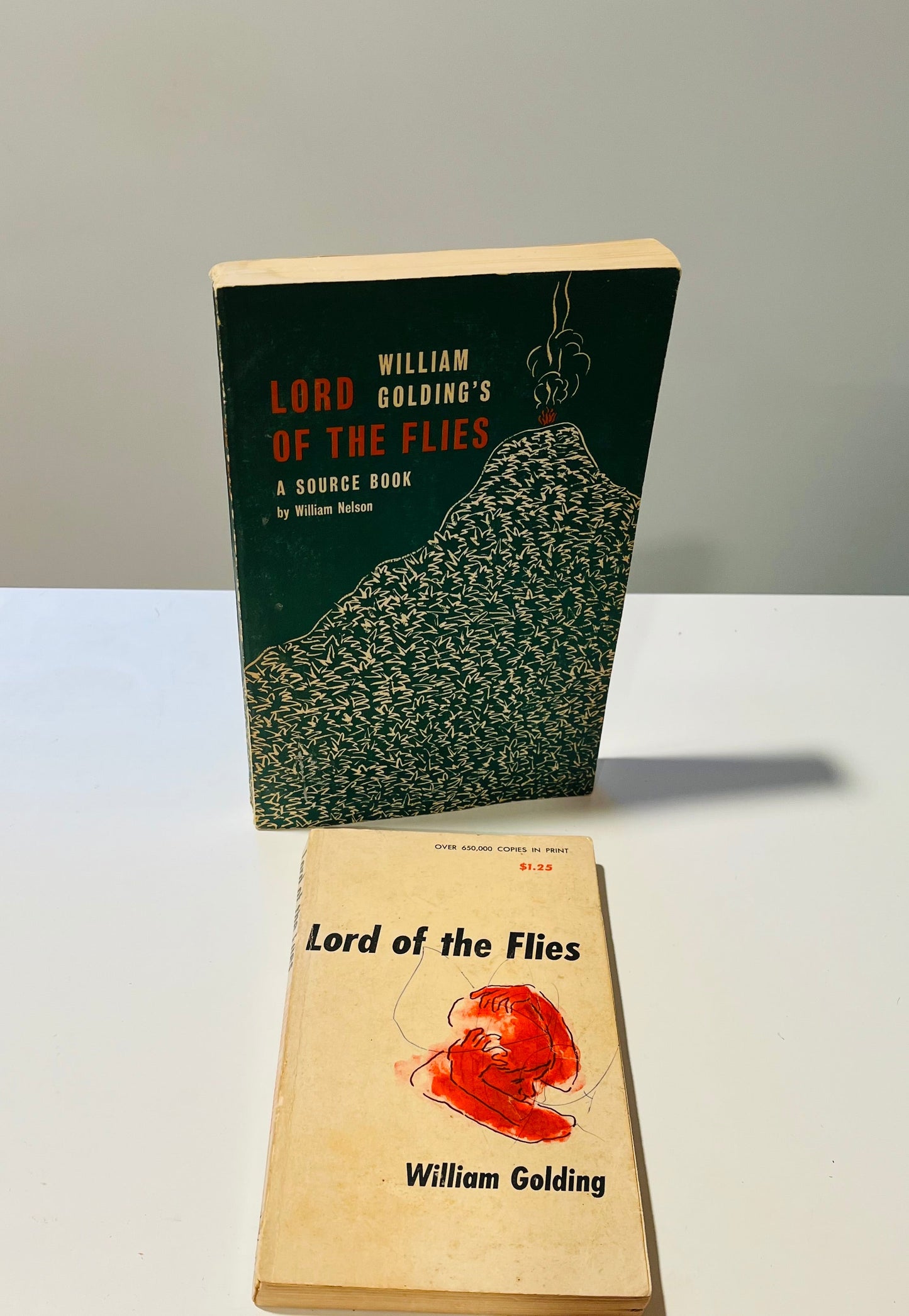 Lord of the Flies (book set) - Burning Tree Books