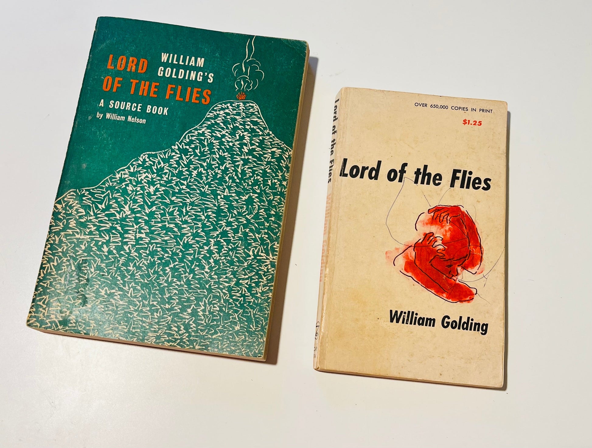 Lord of the Flies (book set) - Burning Tree Books