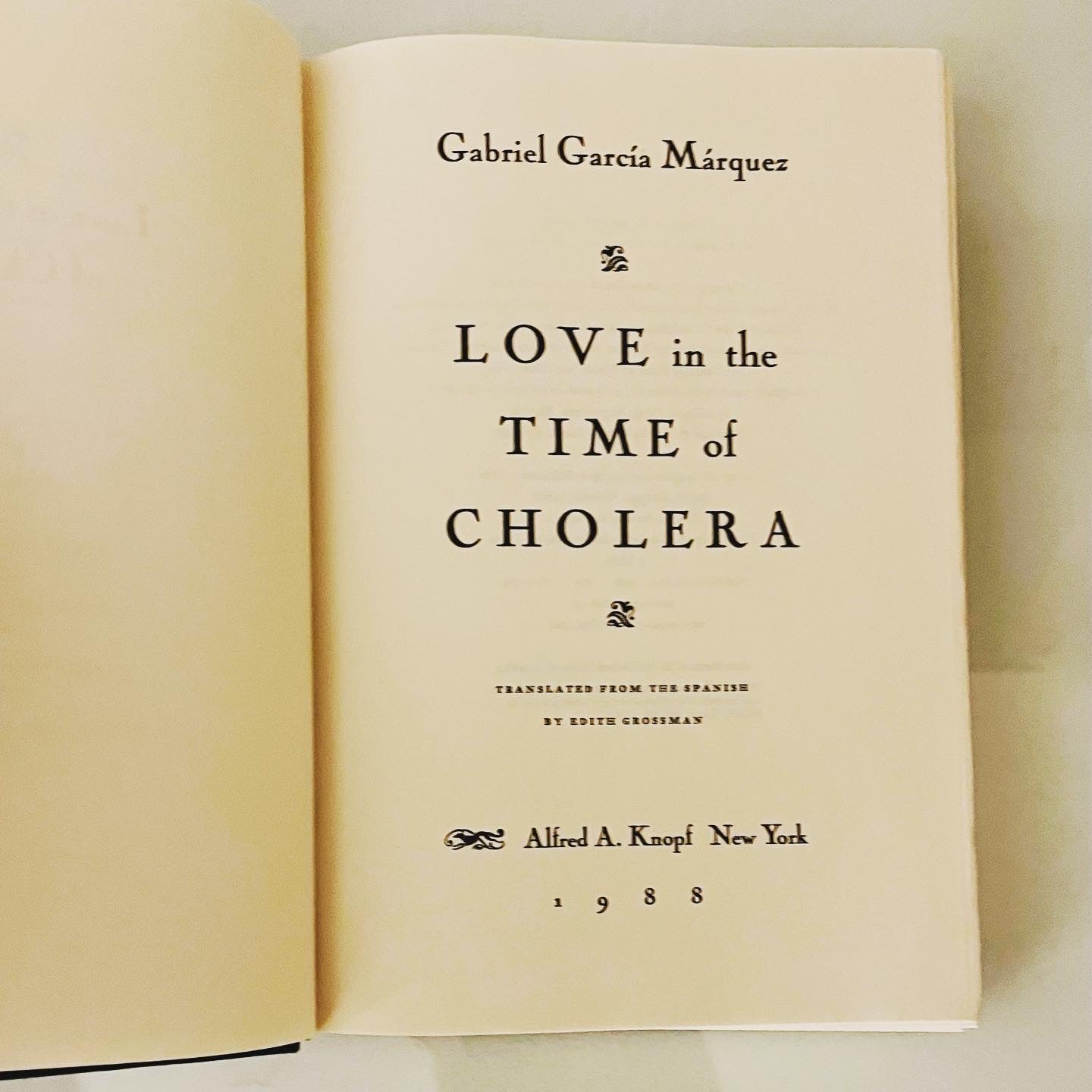 Love in the Time of Cholera - Burning Tree Books