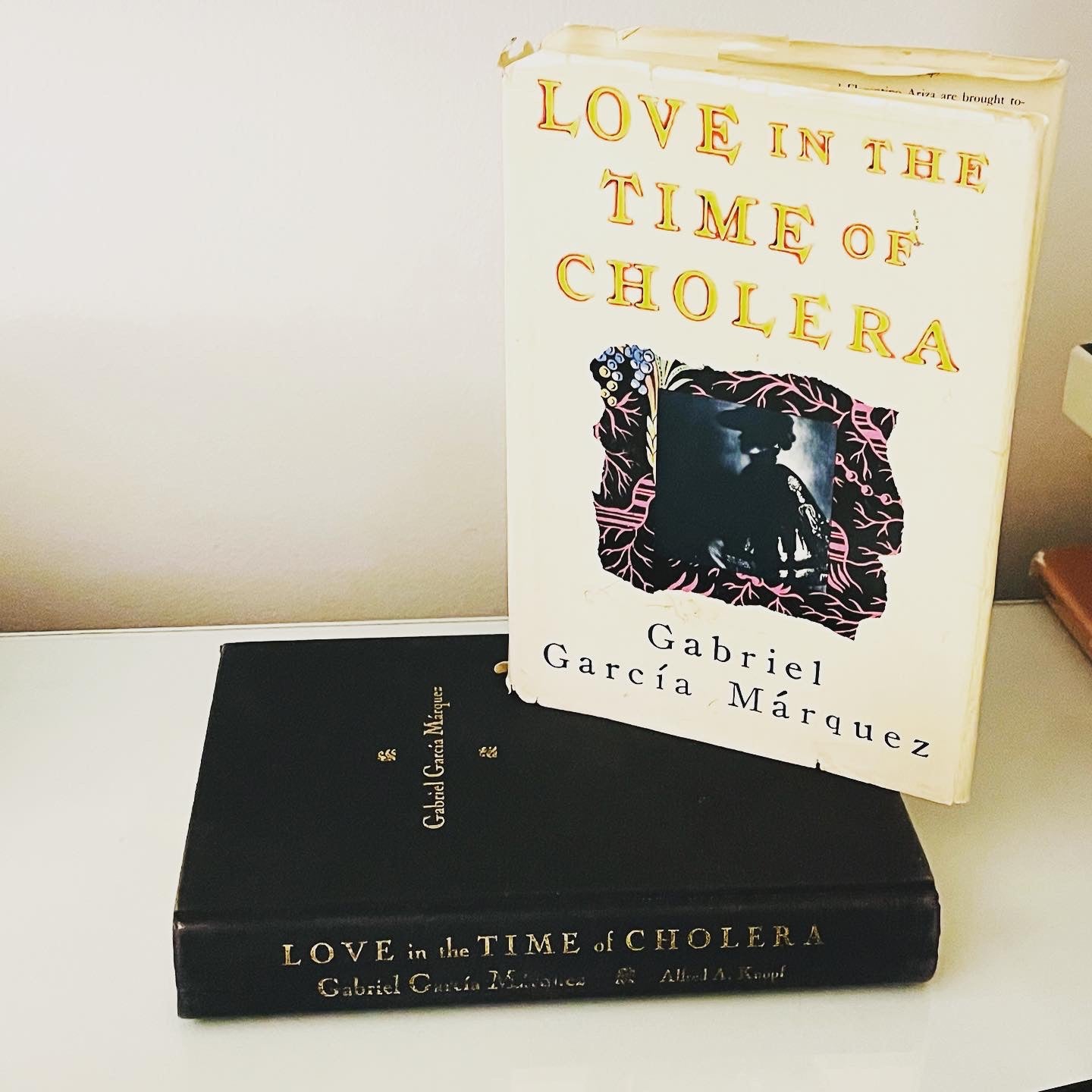 Love in the Time of Cholera - Burning Tree Books