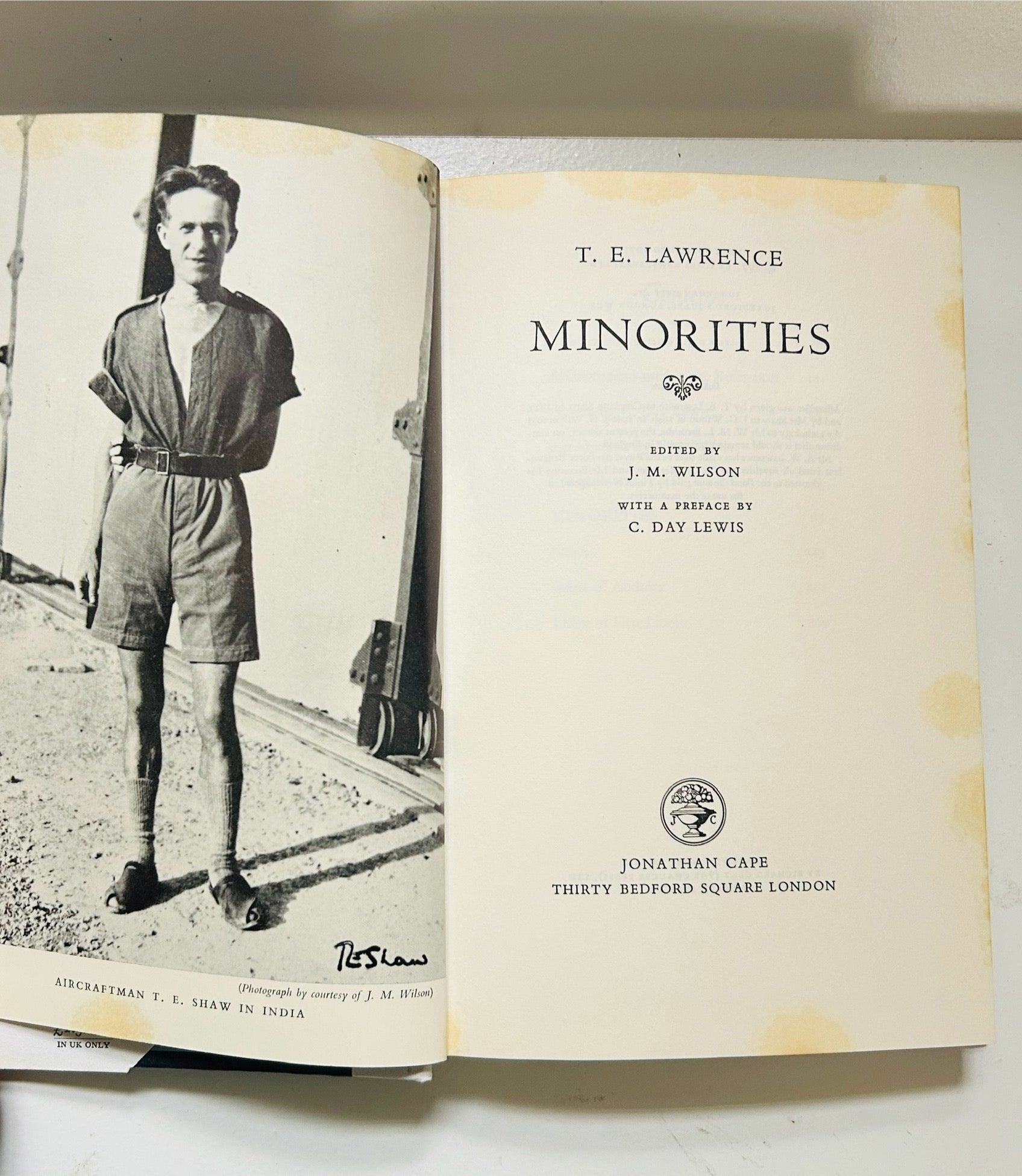 Minorities - Burning Tree Books