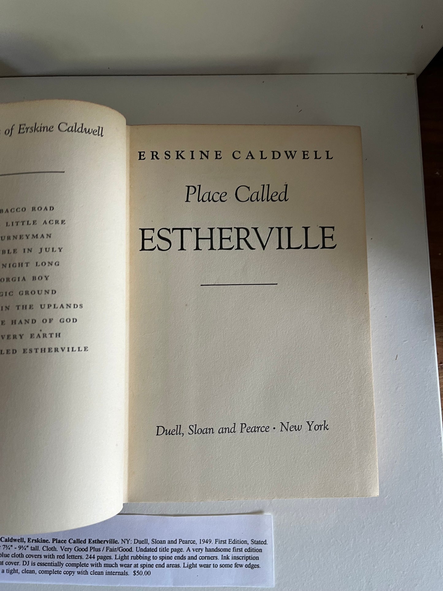 Place Called Estherville - Burning Tree Books