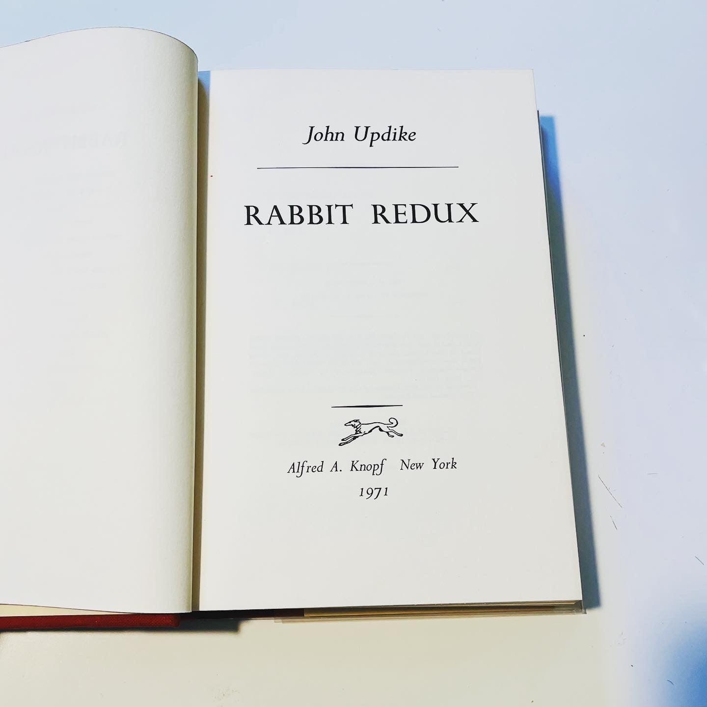 Rabbit Redux - Burning Tree Books