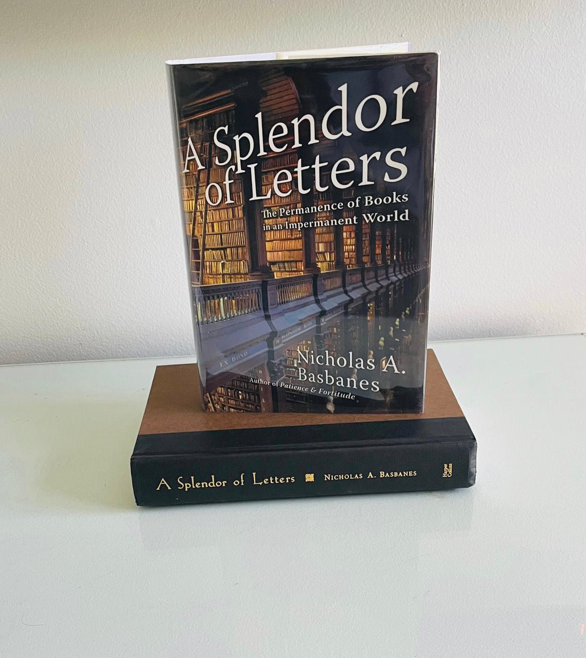 Splendor of Letters - Burning Tree Books