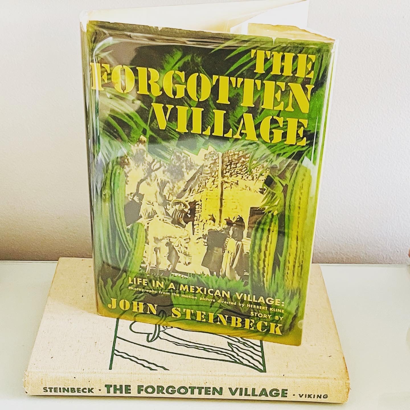 The Forgotten Village - Burning Tree Books