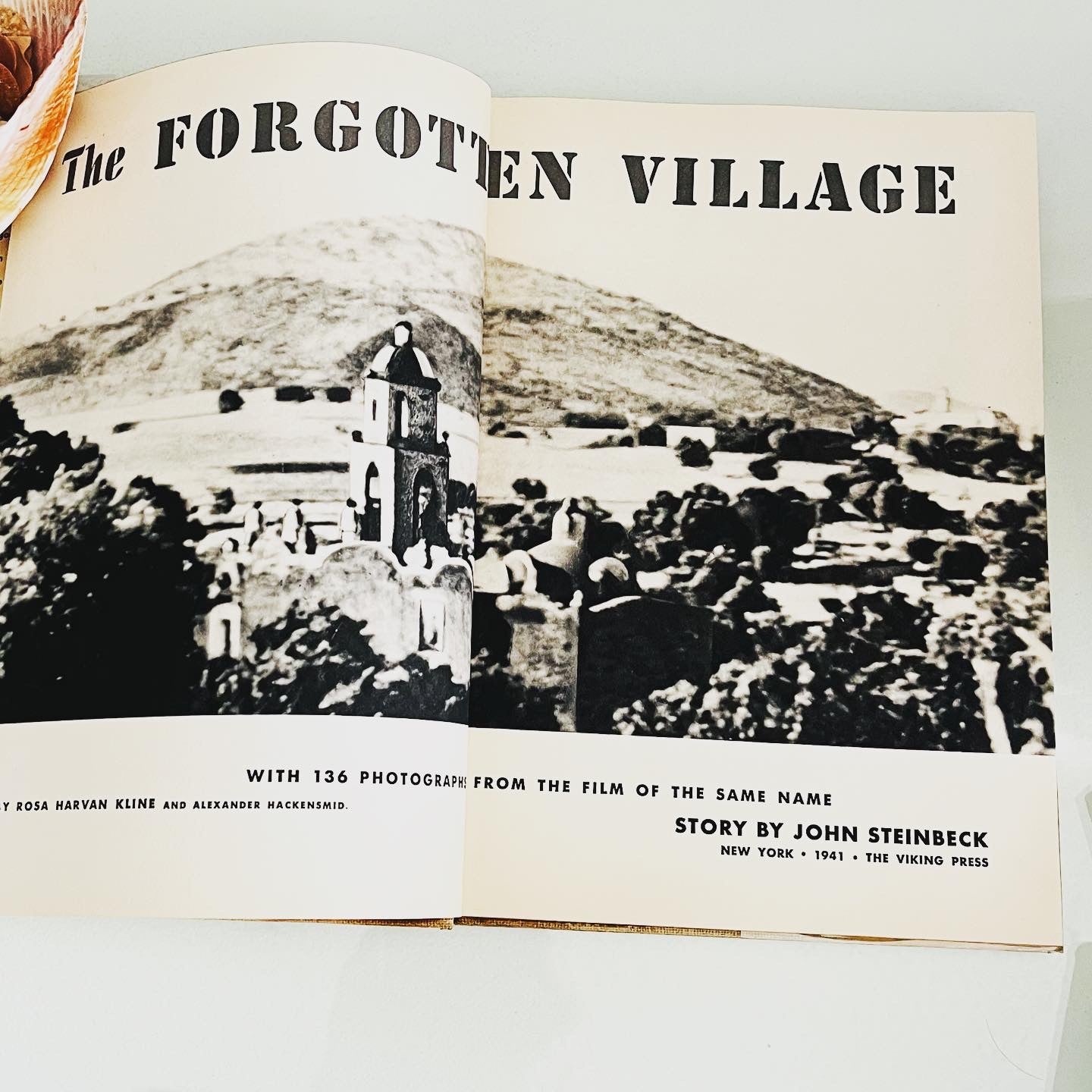 The Forgotten Village - Burning Tree Books