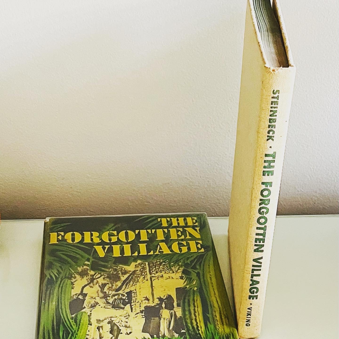 The Forgotten Village - Burning Tree Books