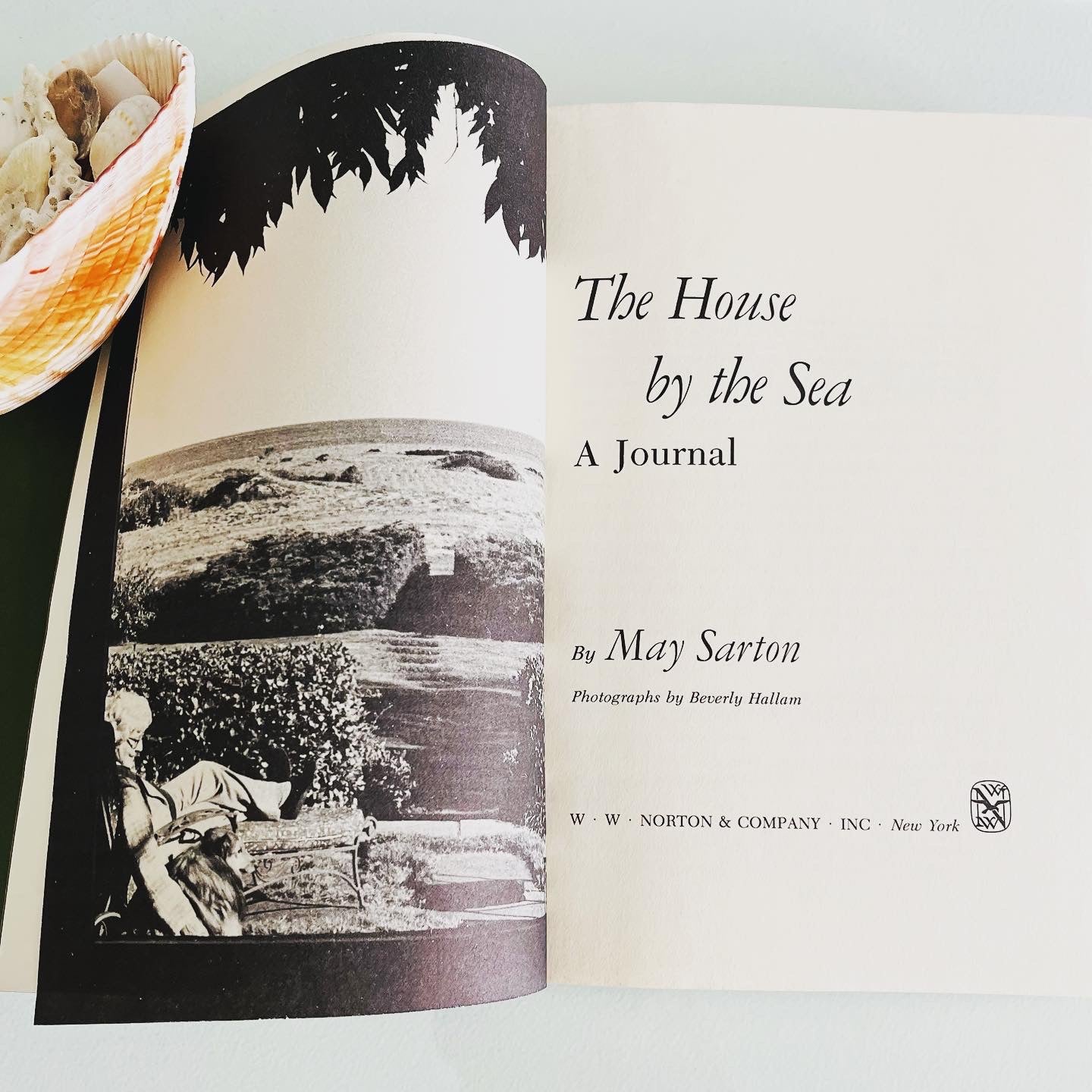 The House by the Sea - Burning Tree Books