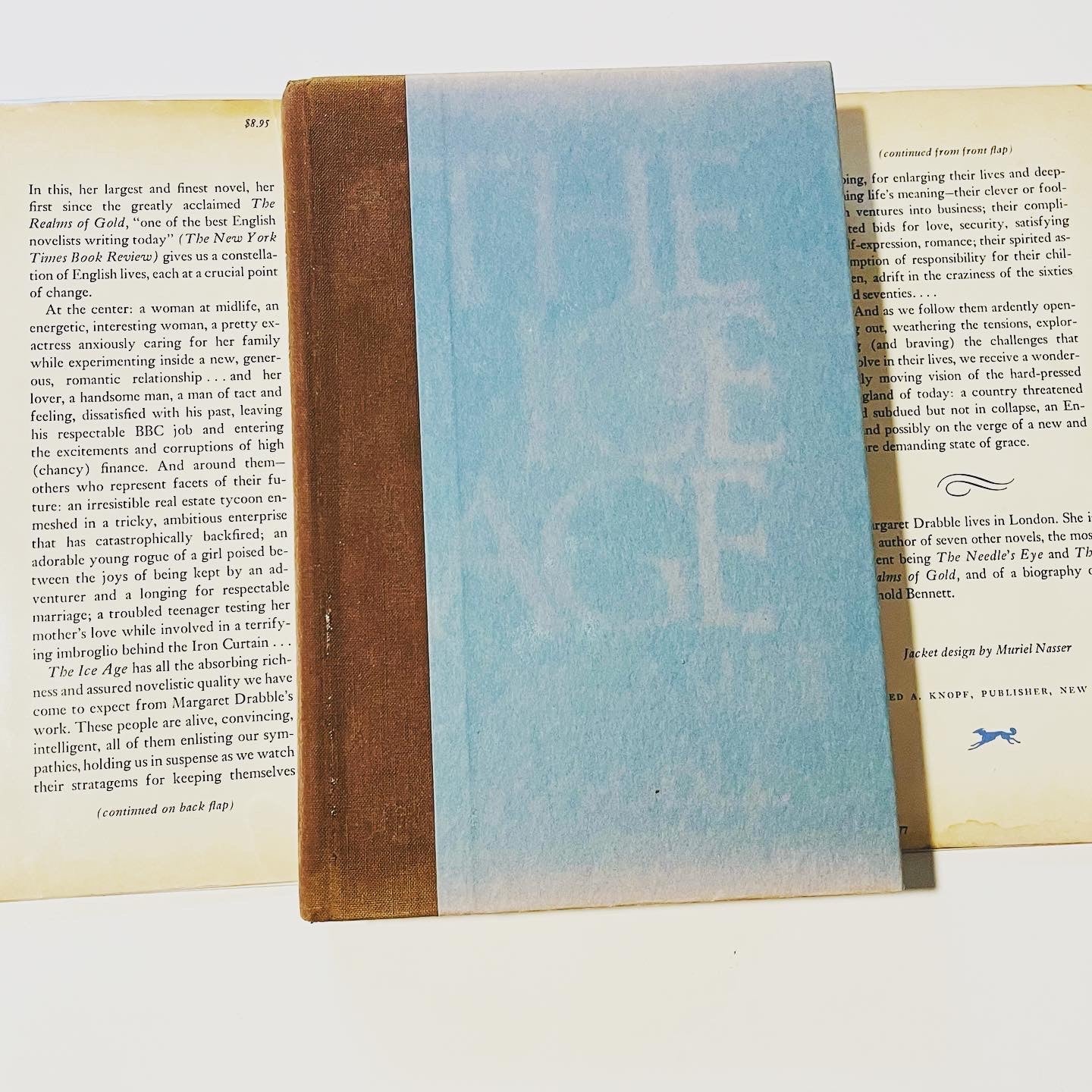 The Ice Age - Burning Tree Books