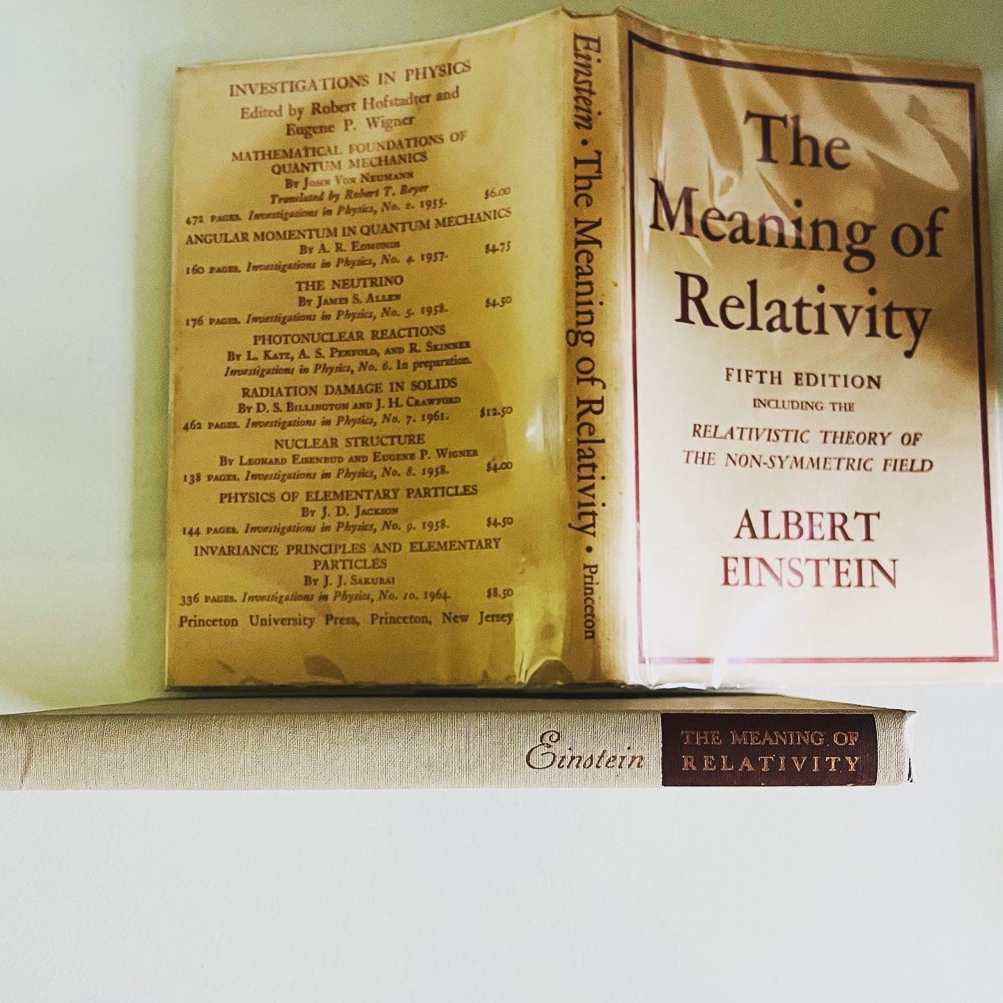 The Meaning of Relativity - Burning Tree Books