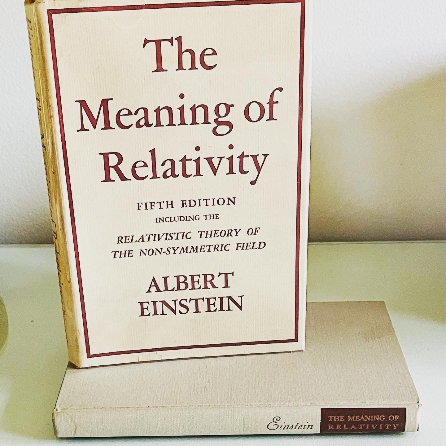 The Meaning of Relativity - Burning Tree Books