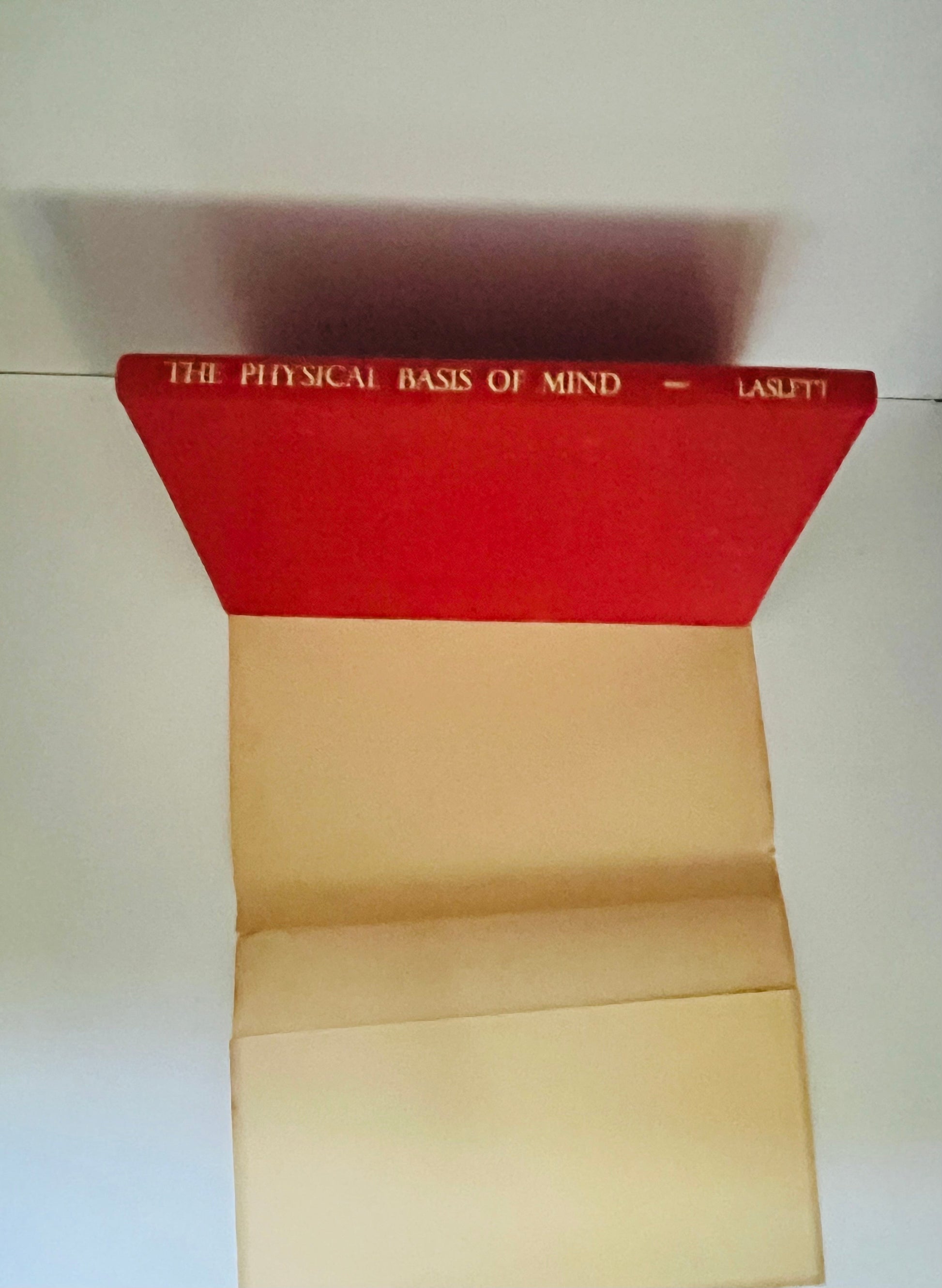 The Physical Basis of Mind - Burning Tree Books