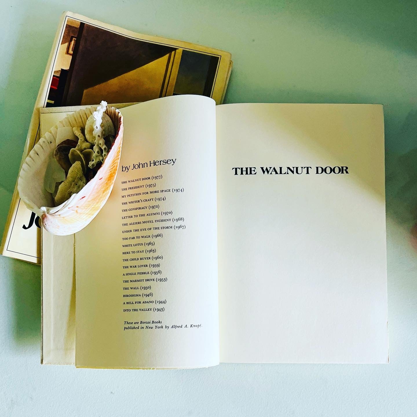 The Walnut Door - Burning Tree Books