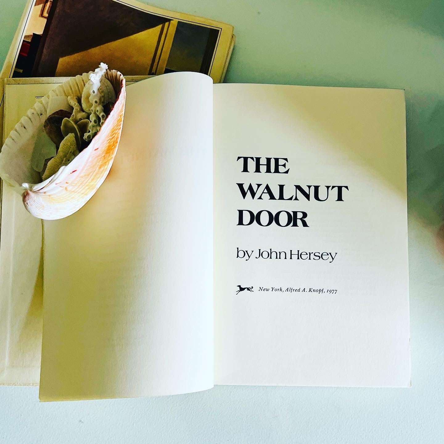 The Walnut Door - Burning Tree Books