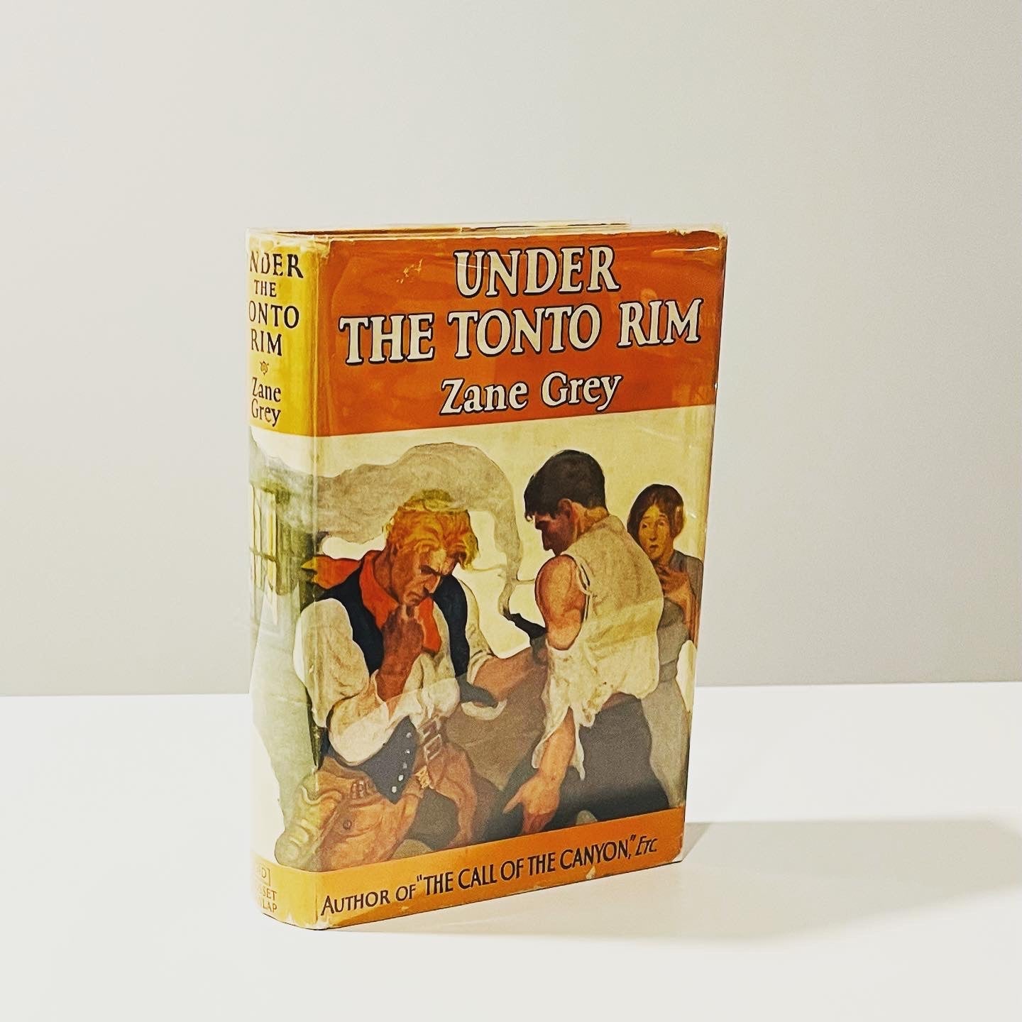 Under the Tonto Rim - Burning Tree Books