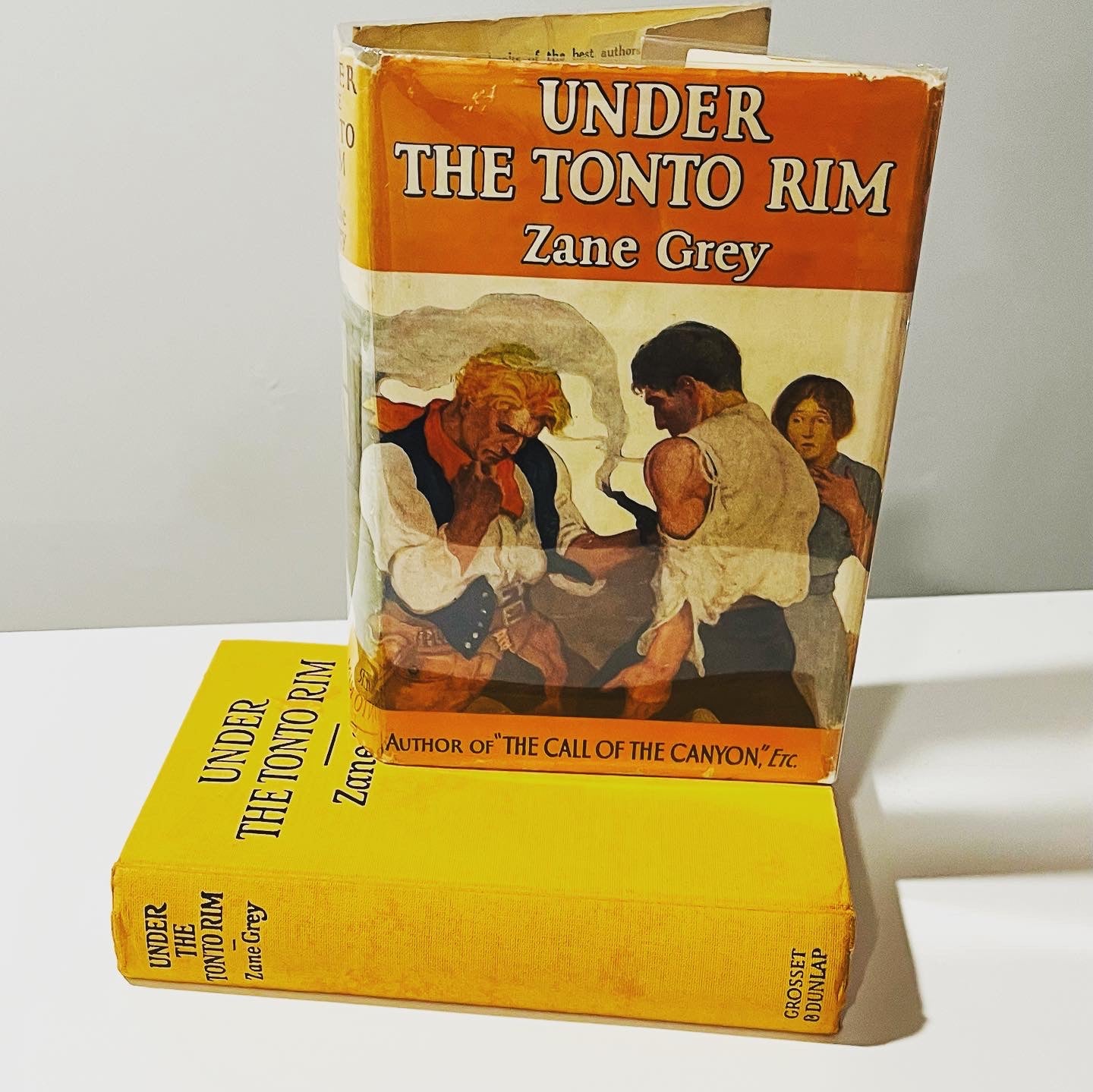 Under the Tonto Rim - Burning Tree Books