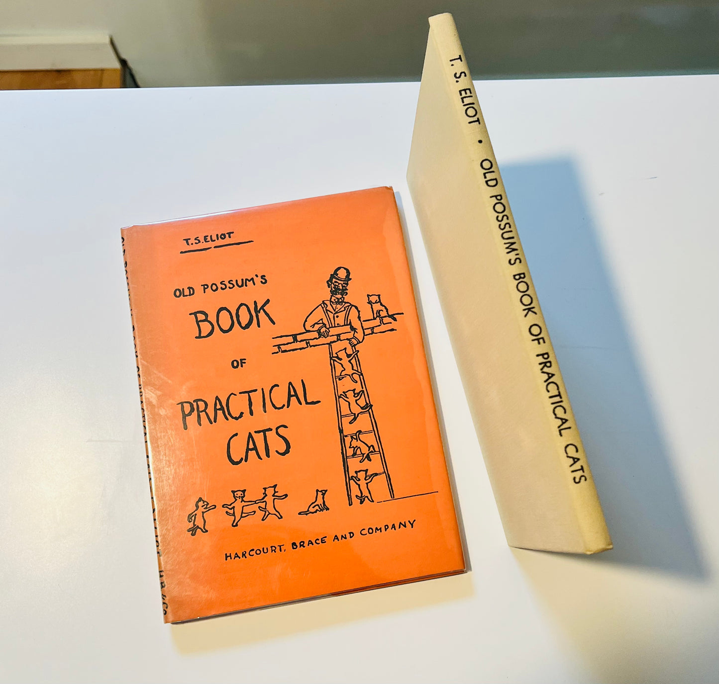 Old Possom's Book of Practical Cats