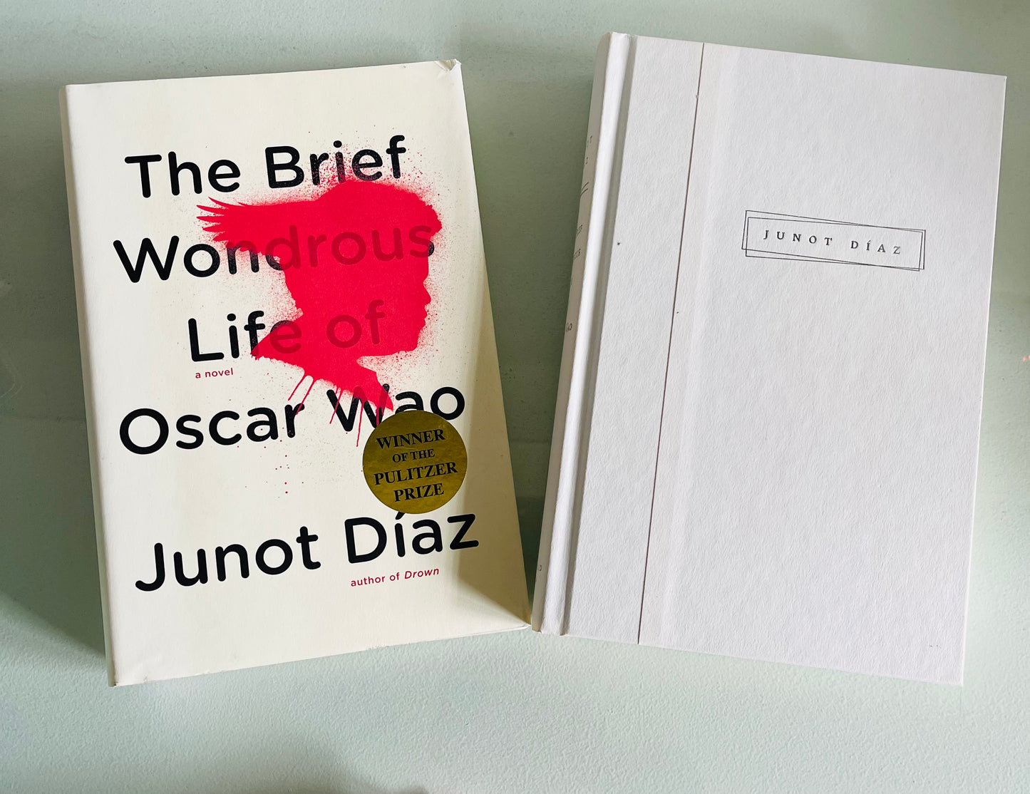 The Brief Wondrous Life of Oscar Wao